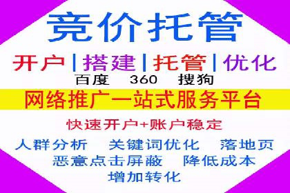 某公司通过百度竞价实现业务快速增长的案例