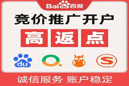 专业SEM托管：企业广告投放的明智之选